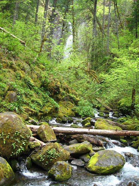 Eagle Creek-148.JPG - Skooknichuck Falls